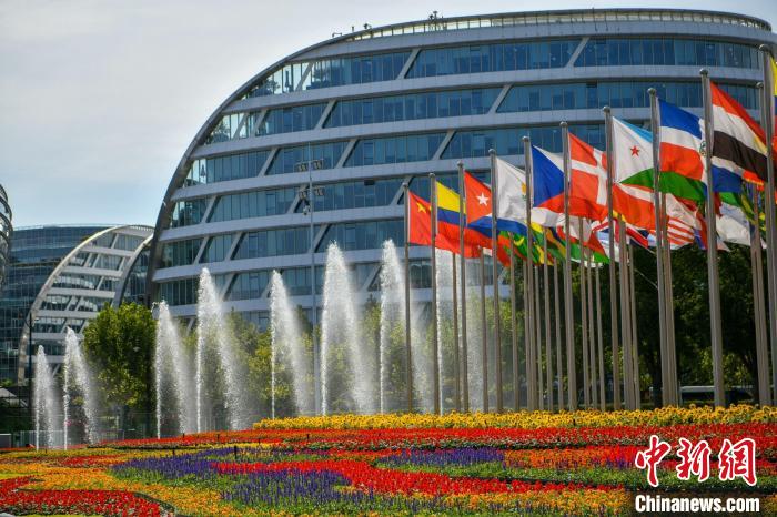 第五屆進(jìn)博會(huì)場(chǎng)館景觀裝飾全面定妝?！￡悏?mèng)澤 攝